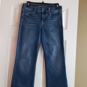 American Eagle Outfitters Favorite Boyfriend Low Rise Jeans